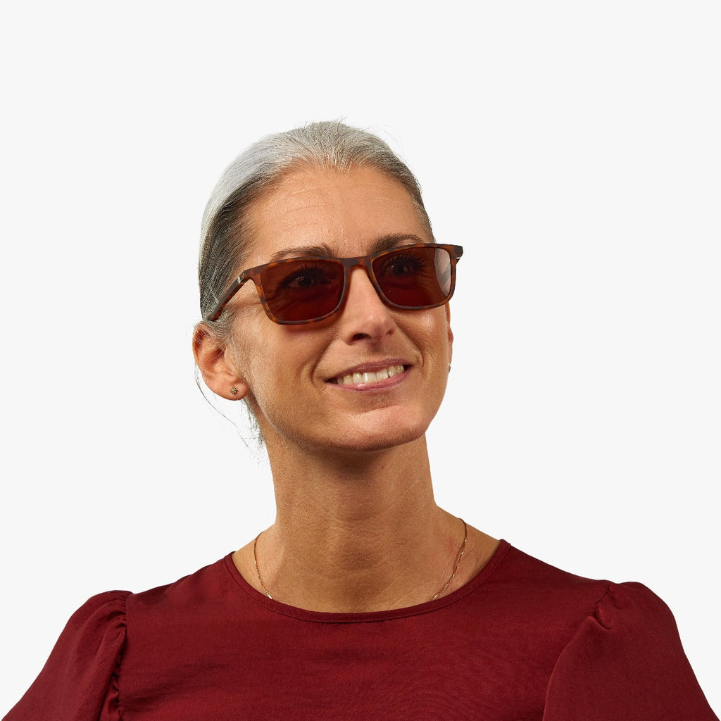 womens kobenhavn turtle sunglasses - www.luxreaderssweden.com