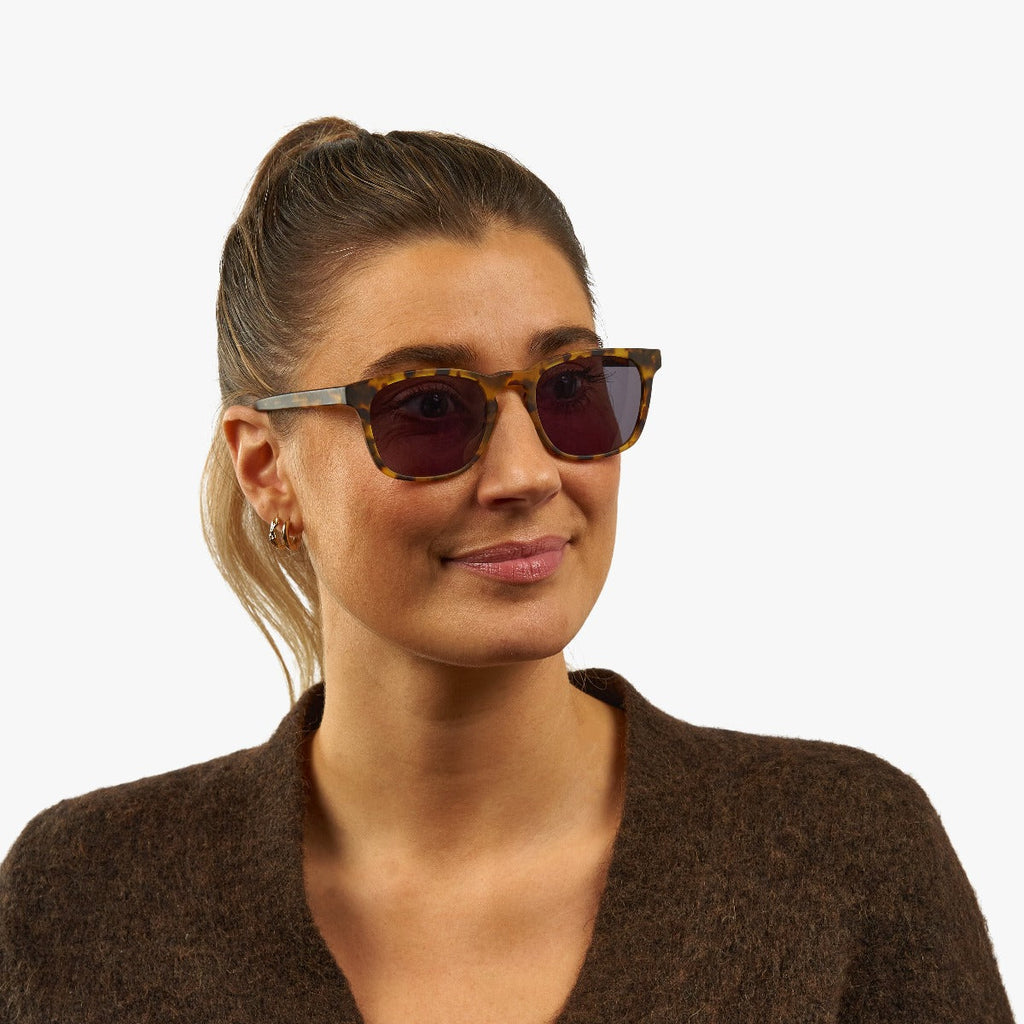 womens bornholm light turtle sunglasses - www.luxreaderssweden.com