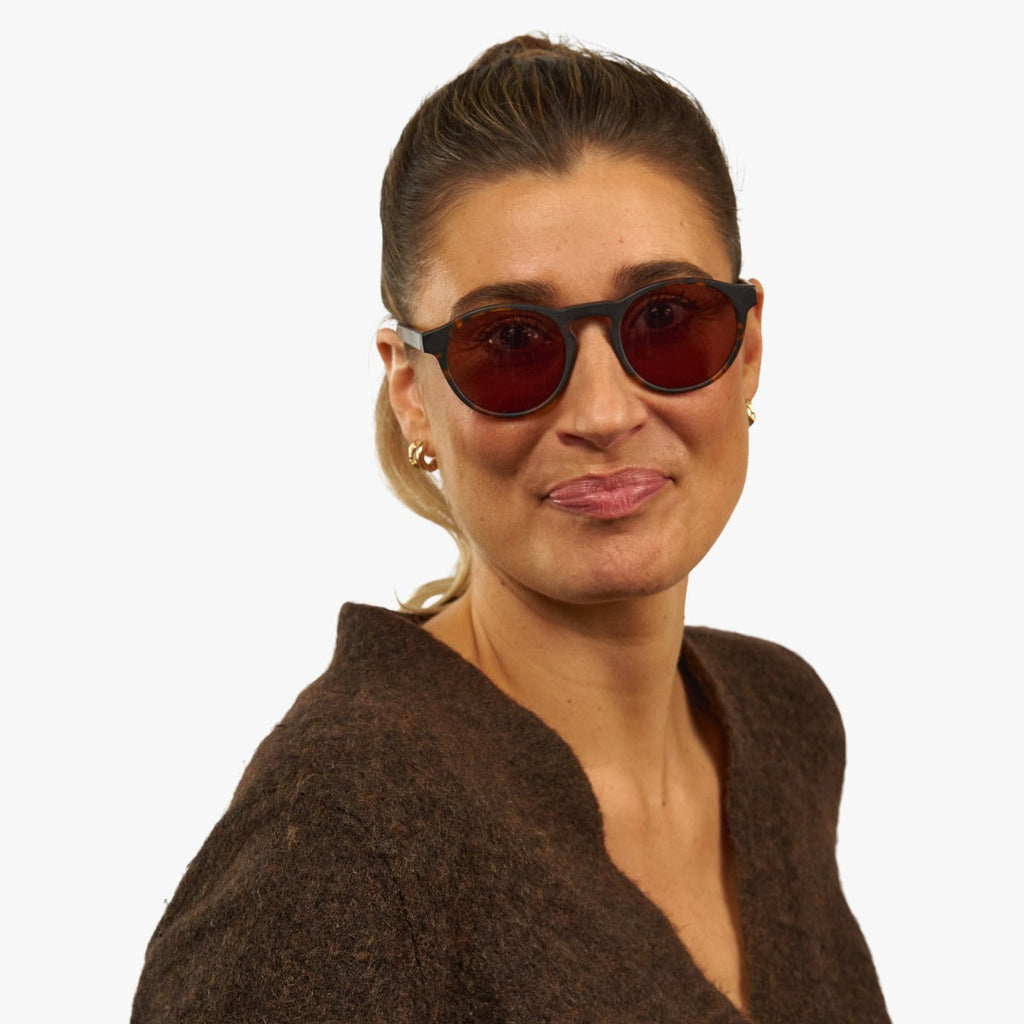 womens trondheim dark turtle sunglasses - www.luxreaderssweden.com