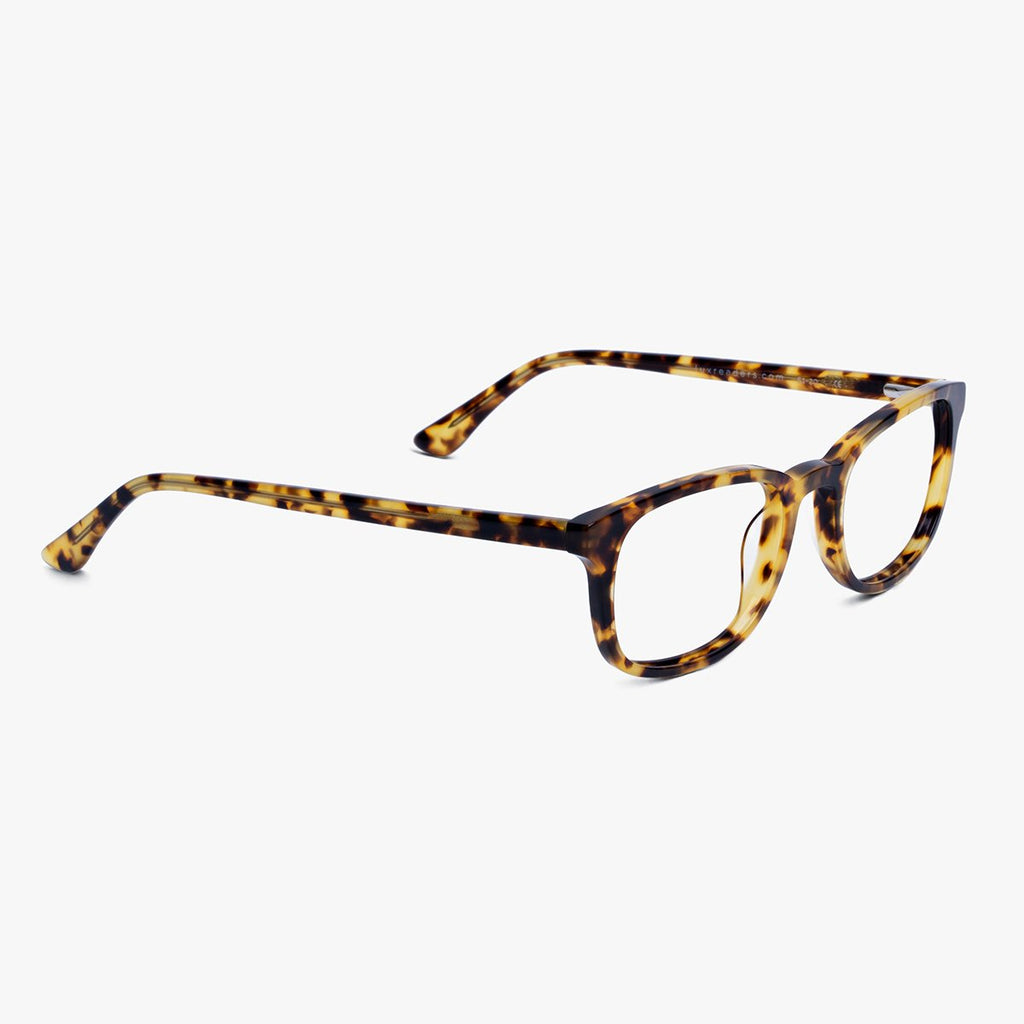 devon light turtle reading glasses - www.luxreaderssweden.com