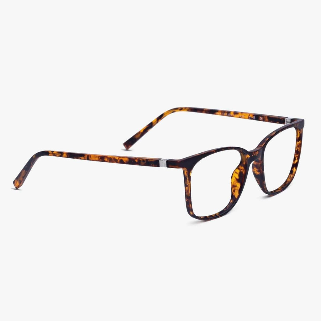 fyn turtle reading glasses - www.luxreaderssweden.com