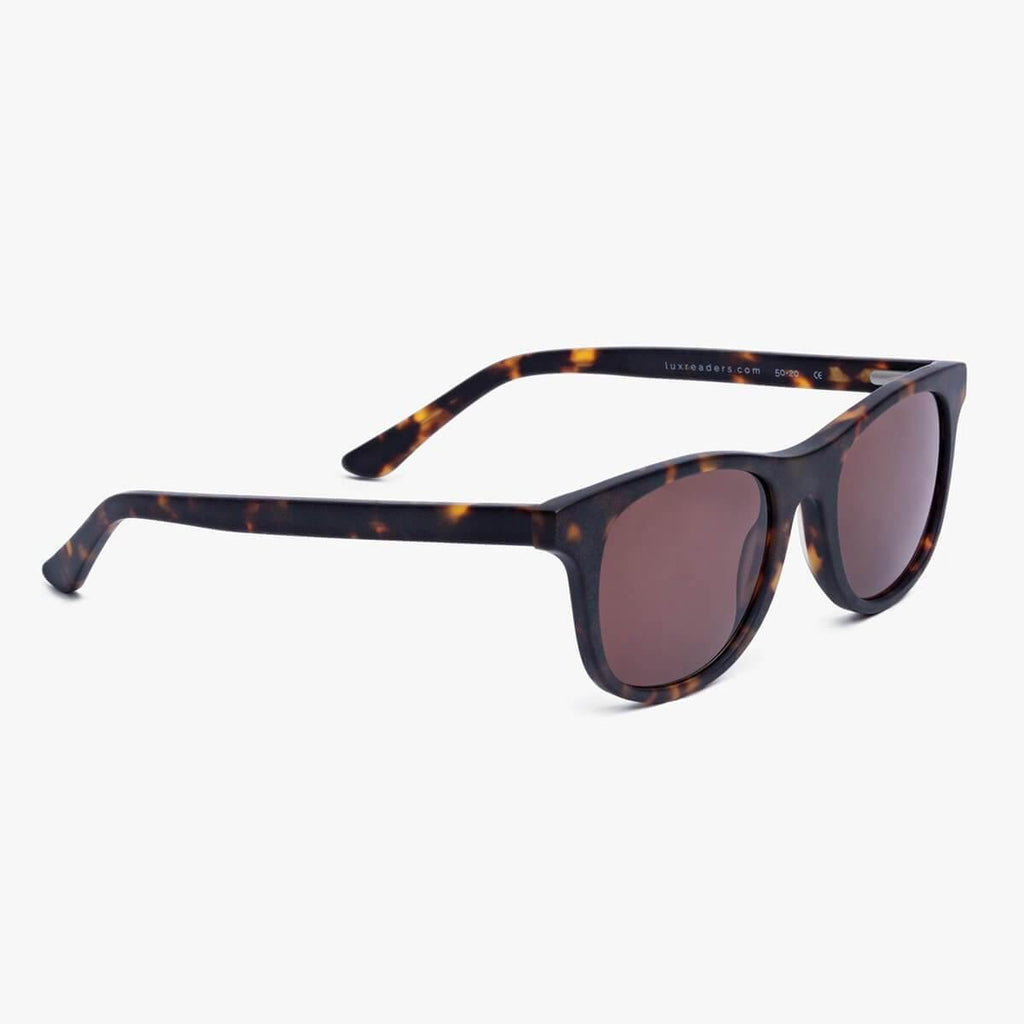 malmo dark turtle sunglasses - www.luxreaderssweden.com