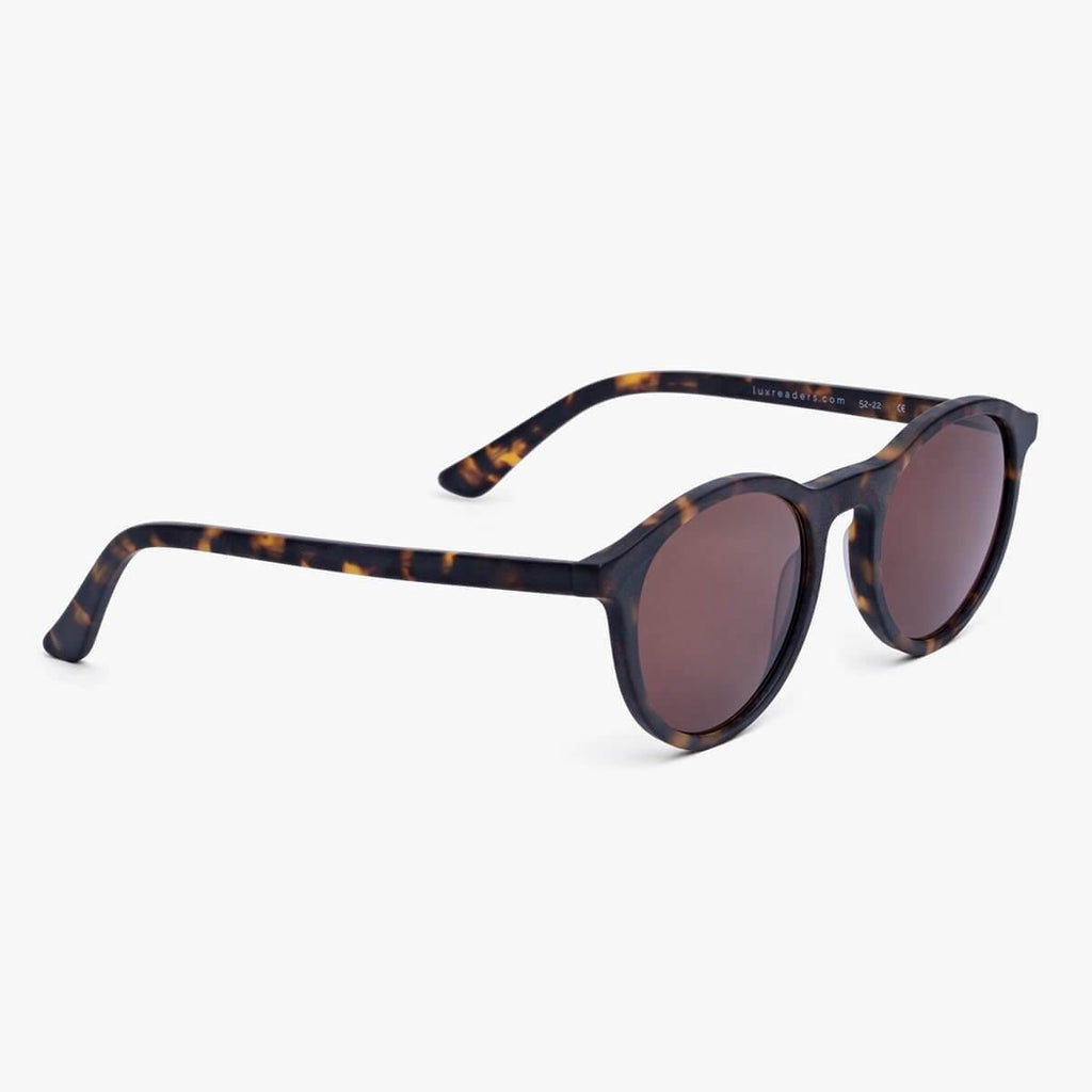 lokken dark turtle sunglasses - www.luxreaderssweden.com