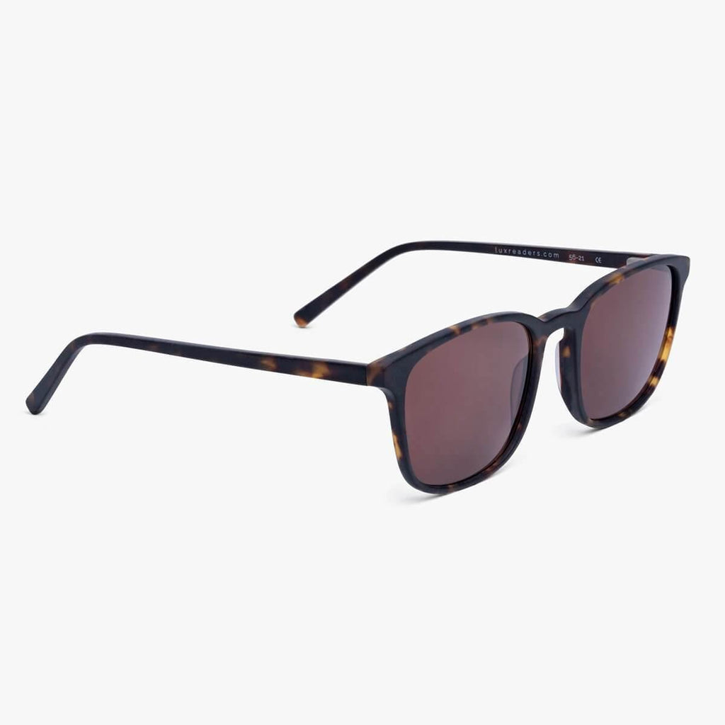 ebeltoft dark turtle sunglasses - www.luxreaderssweden.com