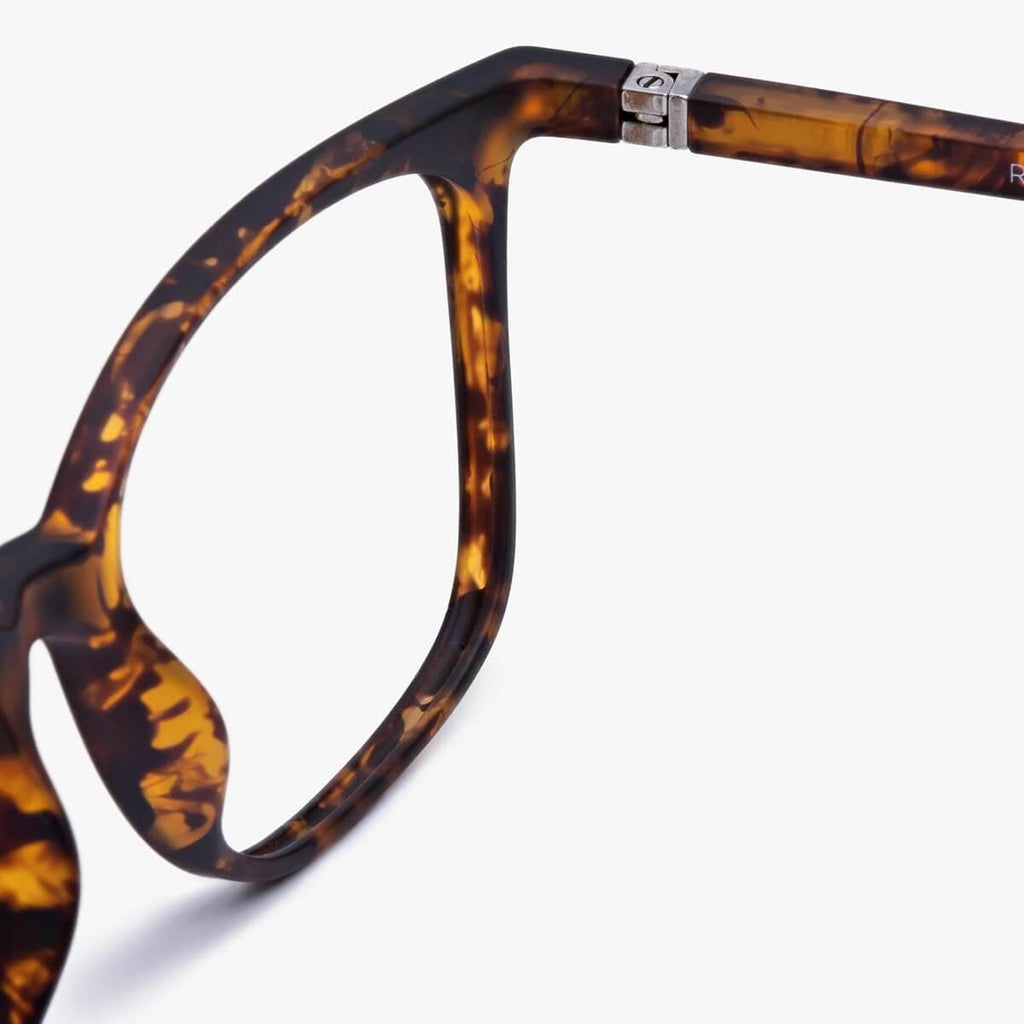 mens fyn turtle reading glasses - www.luxreaderssweden.com