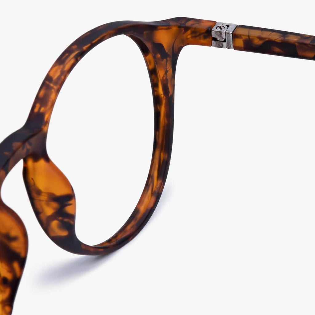 laeso turtle reading glasses - www.luxreaderssweden.com