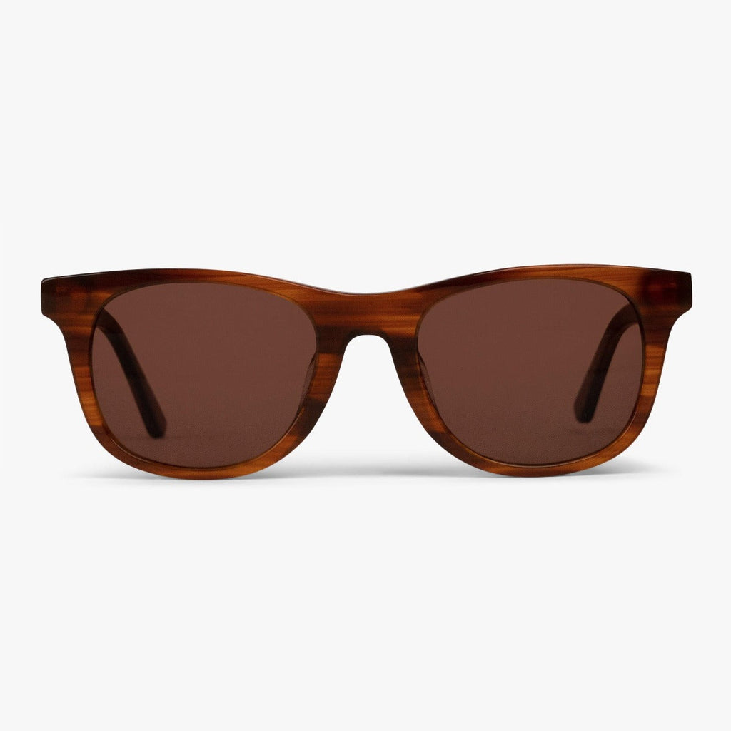 Köp Men's Evans Shiny Walnut Solglasögon - www.luxreaderssweden.com